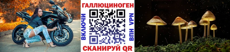 Галлюциногенные грибы Cubensis Купить где Ворсма